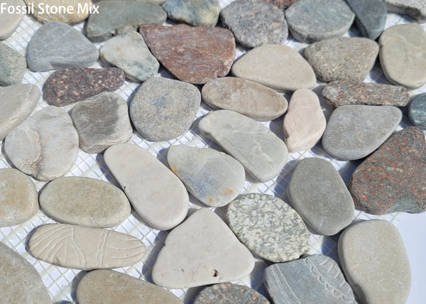 Fossil Stone Pebble Mosaic