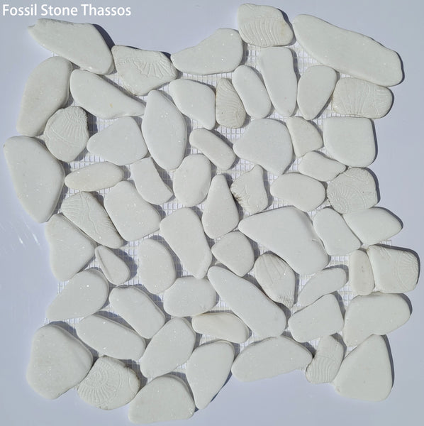Fossil Stone Pebble Mosaic