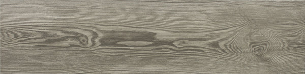 Alpina 6x24 Wood Look Porcelain