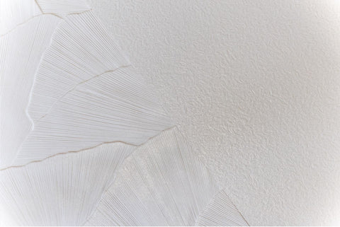 Seashell